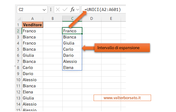 Esempio di applicazione della Funzione UNICI (matrice dinamica)