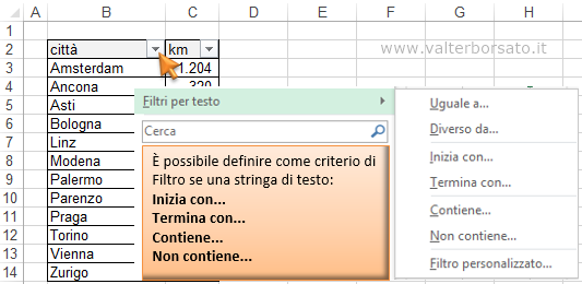 Filtri personalizzati di Excel | Filtrare i testi nelle tabelle e negli archivi