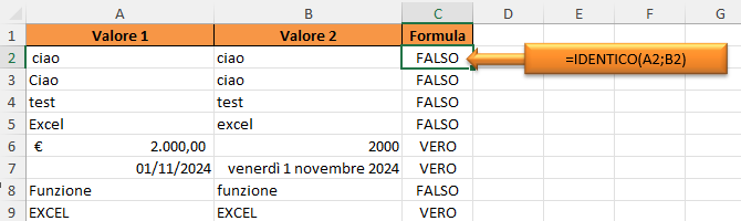 Alcuni esempi di applicazione della Funzione IDENTICO