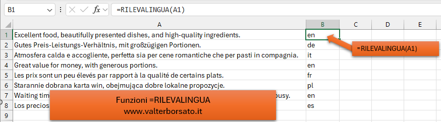 Funzione Excel RILEVALINGUA