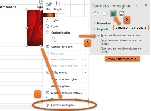 Inserire immagini sul Foglio di lavoro di Excel: Adattare le immagini a una o più celle